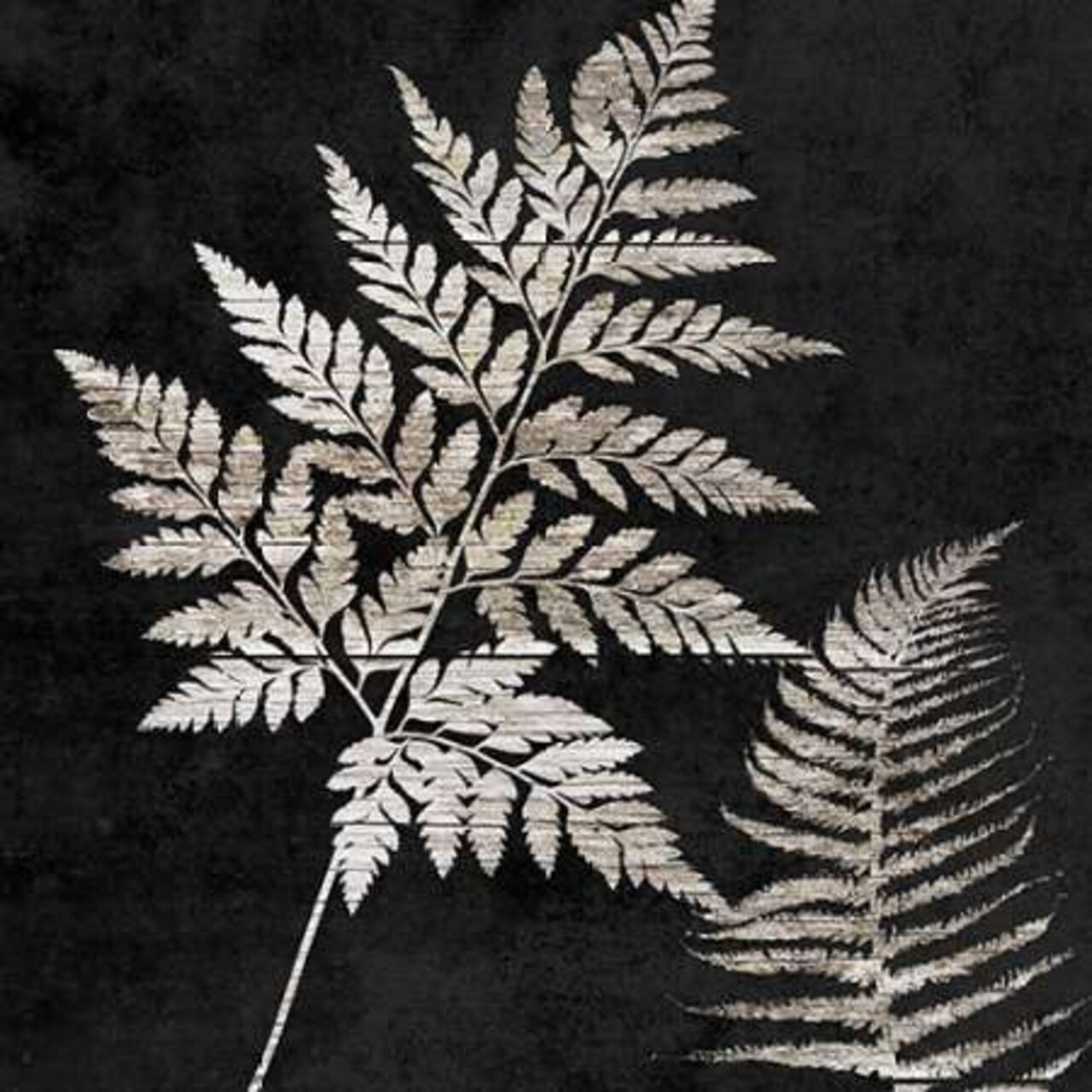 Leaf In The Moment 2 Poster Print by Sheldon Lewis - Item # VARPDXSLBSQ333D